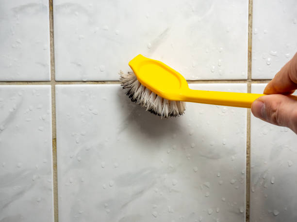 Best Attic Mold Removal  in Dunmore, PA