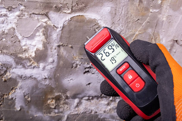 Best Mold Removal Process  in Dunmore, PA