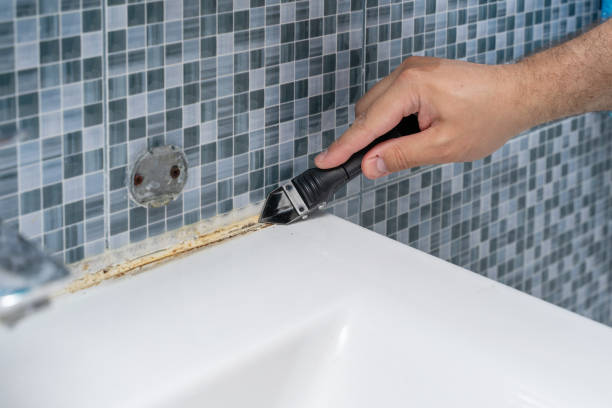 Best Residential Mold Removal  in Dunmore, PA