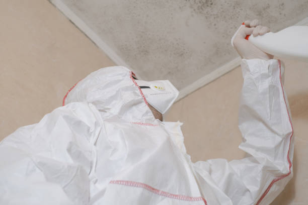 Best Local Mold Removal Service  in Dunmore, PA