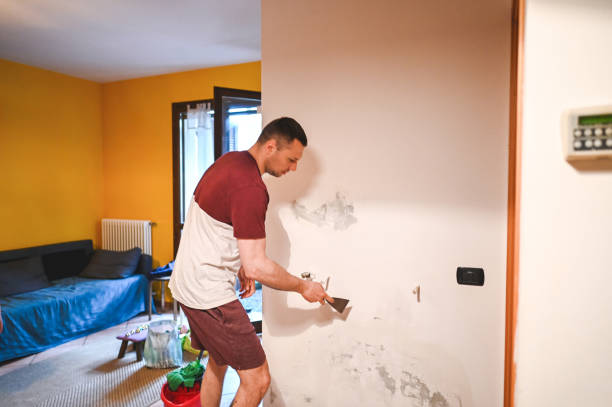 Attic Mold Removal in Dunmore, PA